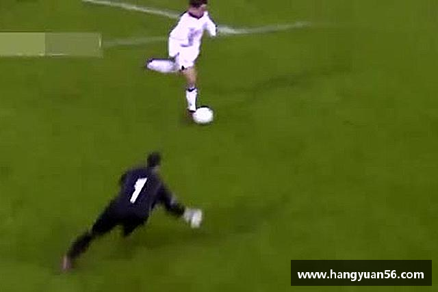 介绍乐动LDSports